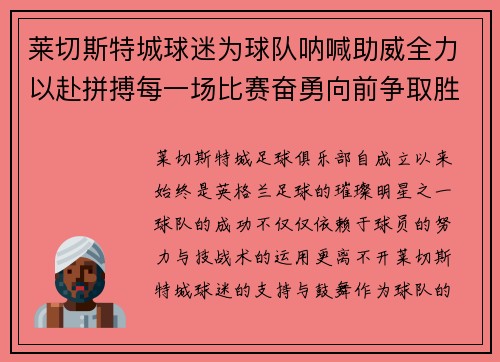 莱切斯特城球迷为球队呐喊助威全力以赴拼搏每一场比赛奋勇向前争取胜利