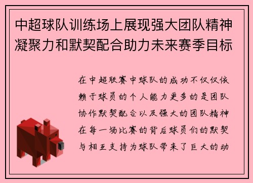 中超球队训练场上展现强大团队精神凝聚力和默契配合助力未来赛季目标