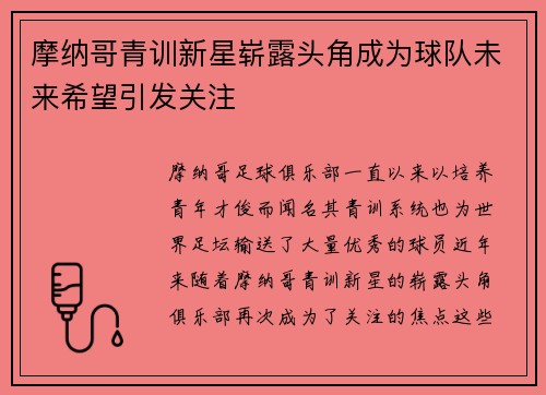 摩纳哥青训新星崭露头角成为球队未来希望引发关注
